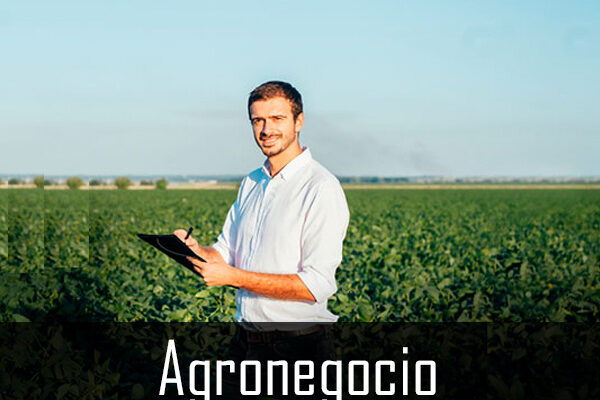yas-agronegocio