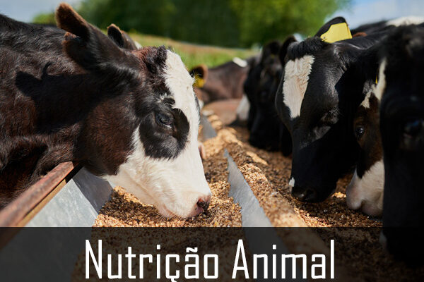 yas-nutricao-animal